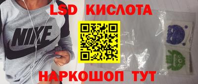 крисы Славгород