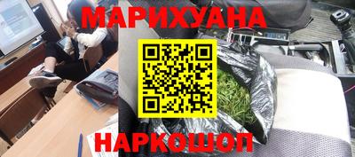 крисы Славгород