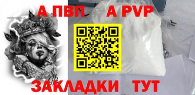 крисы Славгород
