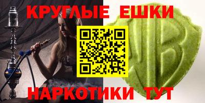 крисы Славгород