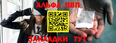 крисы Славгород